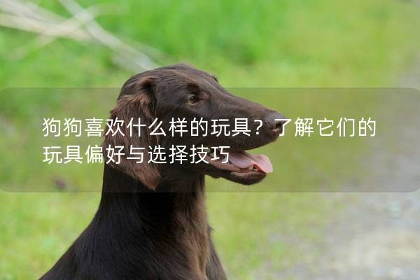 狗狗喜欢什么样的玩具？了解它们的玩具偏好与选择技巧