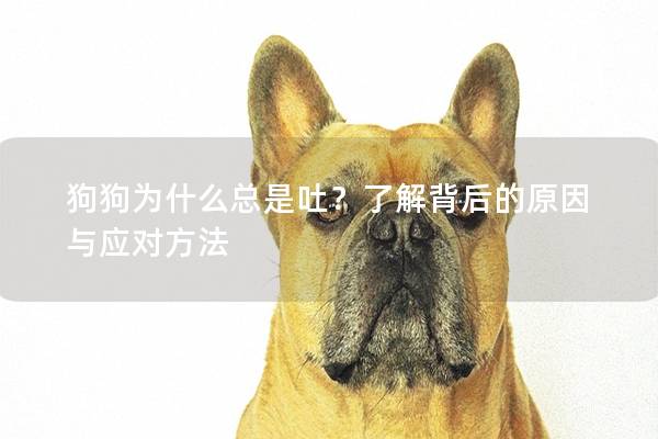 狗狗为什么总是吐？了解背后的原因与应对方法