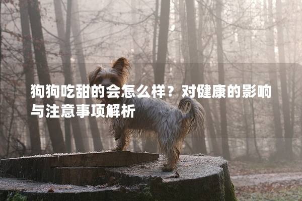 狗狗吃甜的会怎么样？对健康的影响与注意事项解析