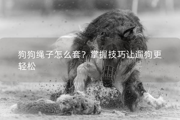 狗狗绳子怎么套？掌握技巧让遛狗更轻松