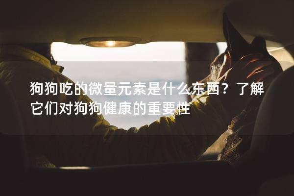 狗狗吃的微量元素是什么东西？了解它们对狗狗健康的重要性