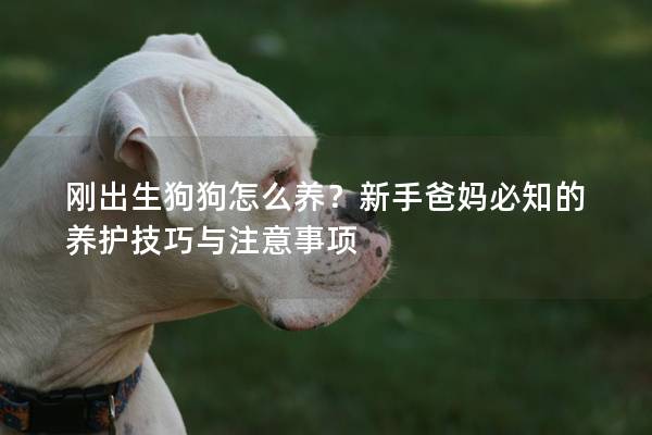 刚出生狗狗怎么养？新手爸妈必知的养护技巧与注意事项