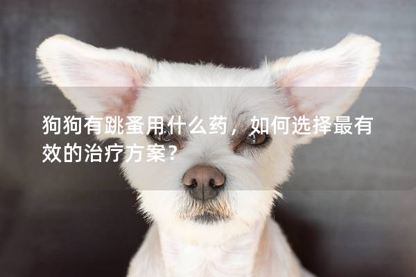 狗狗有跳蚤用什么药，如何选择最有效的治疗方案？