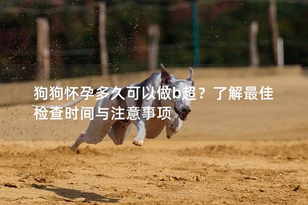 狗狗怀孕多久可以做b超？了解最佳检查时间与注意事项