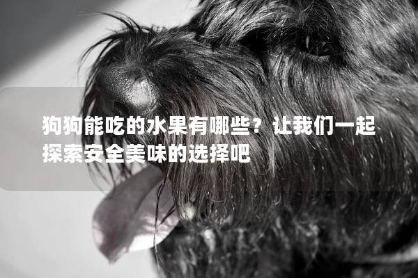 狗狗能吃的水果有哪些？让我们一起探索安全美味的选择吧
