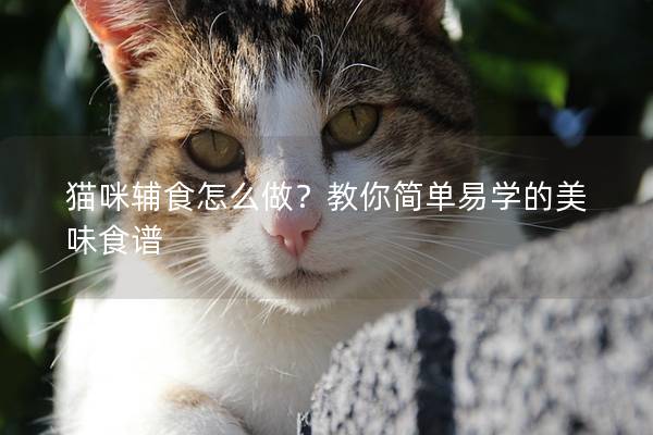 猫咪辅食怎么做？教你简单易学的美味食谱
