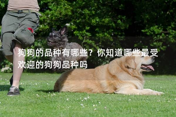 狗狗的品种有哪些？你知道哪些最受欢迎的狗狗品种吗