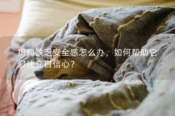 狗狗缺乏安全感怎么办，如何帮助它们建立自信心？