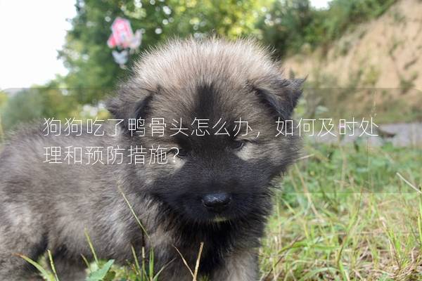 狗狗吃了鸭骨头怎么办，如何及时处理和预防措施？