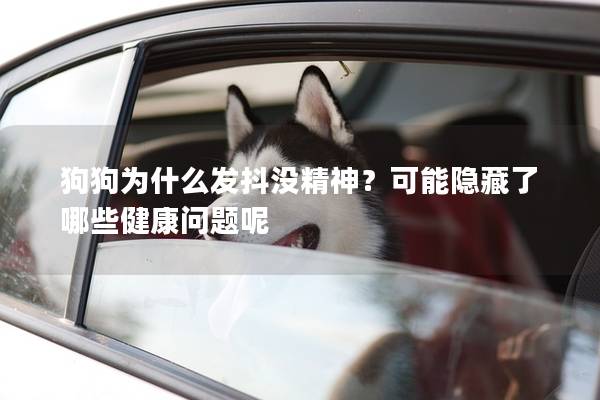 狗狗为什么发抖没精神？可能隐藏了哪些健康问题呢