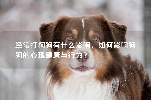经常打狗狗有什么影响，如何影响狗狗的心理健康与行为？
