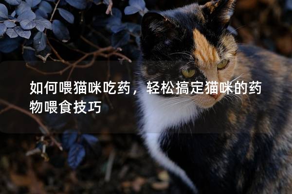 如何喂猫咪吃药，轻松搞定猫咪的药物喂食技巧