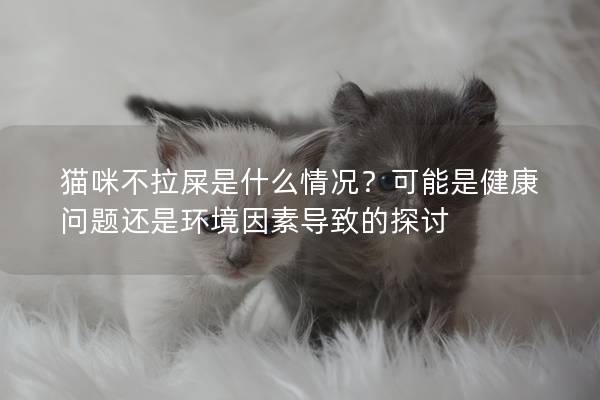 猫咪不拉屎是什么情况？可能是健康问题还是环境因素导致的探讨