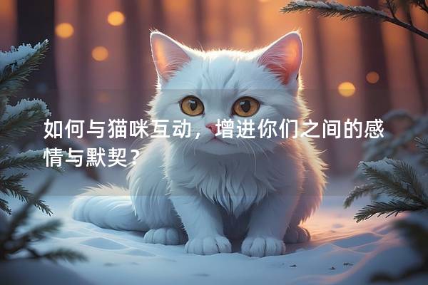如何与猫咪互动，增进你们之间的感情与默契？