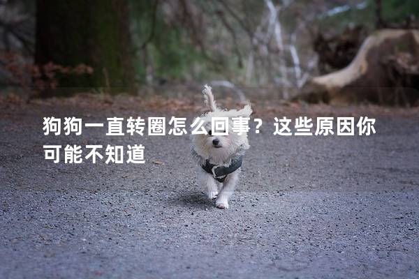 狗狗一直转圈怎么回事？这些原因你可能不知道
