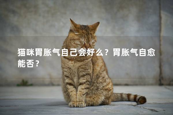 猫咪胃胀气自己会好么？胃胀气自愈能否？