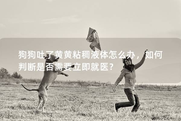 狗狗吐了黄黄粘稠液体怎么办，如何判断是否需要立即就医？