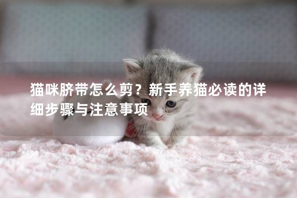 猫咪脐带怎么剪？新手养猫必读的详细步骤与注意事项
