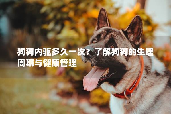 狗狗内驱多久一次？了解狗狗的生理周期与健康管理