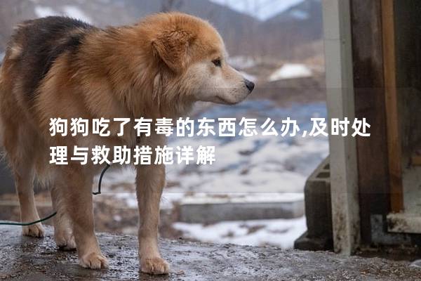狗狗吃了有毒的东西怎么办,及时处理与救助措施详解