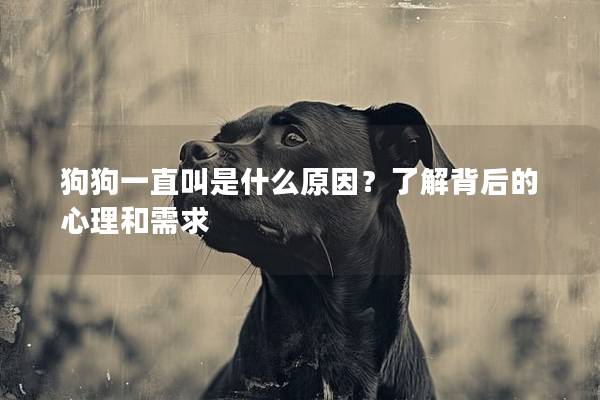 狗狗一直叫是什么原因？了解背后的心理和需求
