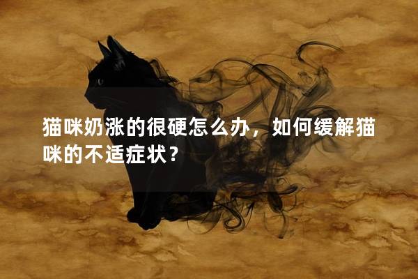 猫咪奶涨的很硬怎么办，如何缓解猫咪的不适症状？