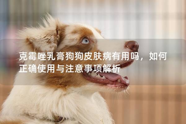 克霉唑乳膏狗狗皮肤病有用吗，如何正确使用与注意事项解析