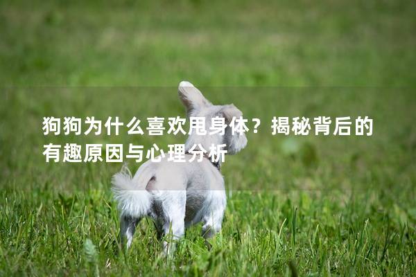 狗狗为什么喜欢甩身体？揭秘背后的有趣原因与心理分析