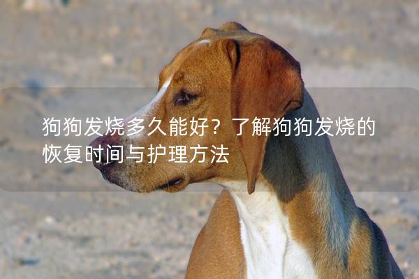 狗狗发烧多久能好？了解狗狗发烧的恢复时间与护理方法