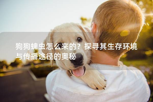 狗狗蜱虫怎么来的？探寻其生存环境与传播途径的奥秘