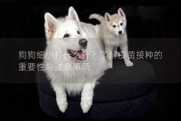 狗狗细小打什么针？了解疫苗接种的重要性与注意事项