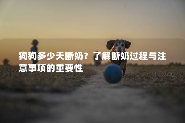 狗狗多少天断奶？了解断奶过程与注意事项的重要性