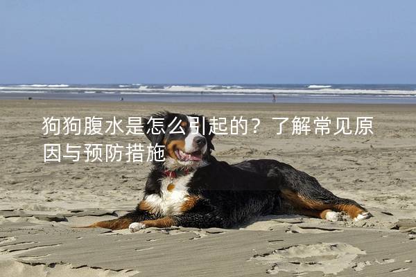 狗狗腹水是怎么引起的？了解常见原因与预防措施