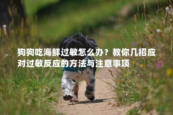 狗狗吃海鲜过敏怎么办？教你几招应对过敏反应的方法与注意事项
