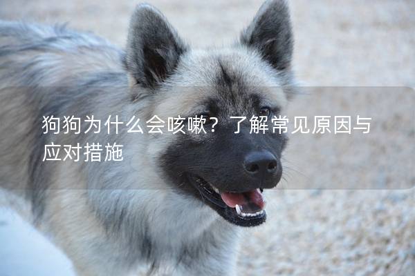 狗狗为什么会咳嗽？了解常见原因与应对措施
