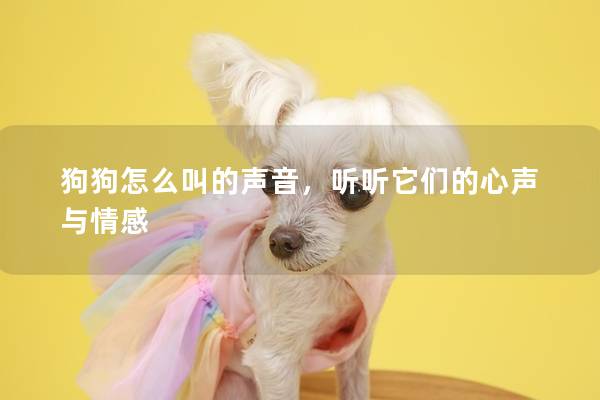 狗狗怎么叫的声音，听听它们的心声与情感