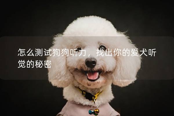 怎么测试狗狗听力，找出你的爱犬听觉的秘密