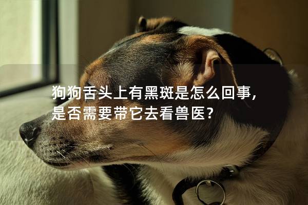 狗狗舌头上有黑斑是怎么回事, 是否需要带它去看兽医？