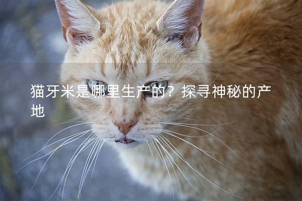 猫牙米是哪里生产的？探寻神秘的产地