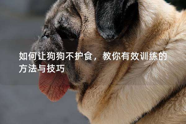 如何让狗狗不护食，教你有效训练的方法与技巧