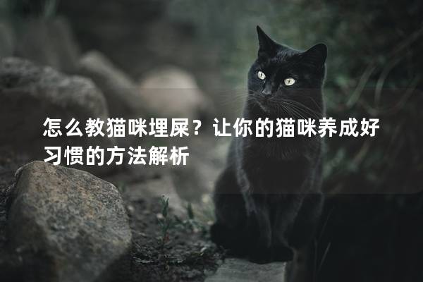 怎么教猫咪埋屎？让你的猫咪养成好习惯的方法解析