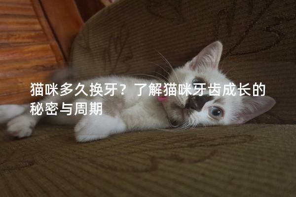 猫咪多久换牙？了解猫咪牙齿成长的秘密与周期