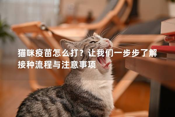 猫咪疫苗怎么打？让我们一步步了解接种流程与注意事项