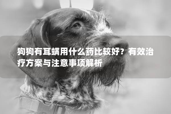 狗狗有耳螨用什么药比较好？有效治疗方案与注意事项解析