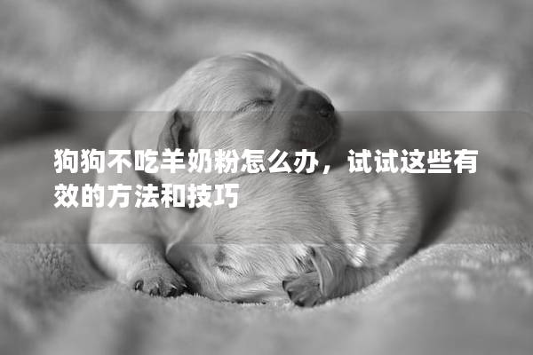 狗狗不吃羊奶粉怎么办，试试这些有效的方法和技巧