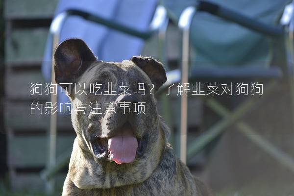狗狗可以吃韭菜吗？了解韭菜对狗狗的影响与注意事项