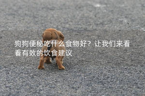 狗狗便秘吃什么食物好？让我们来看看有效的饮食建议