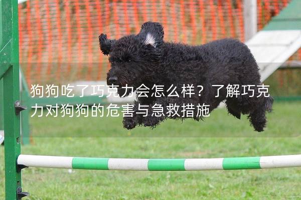 狗狗吃了巧克力会怎么样？了解巧克力对狗狗的危害与急救措施