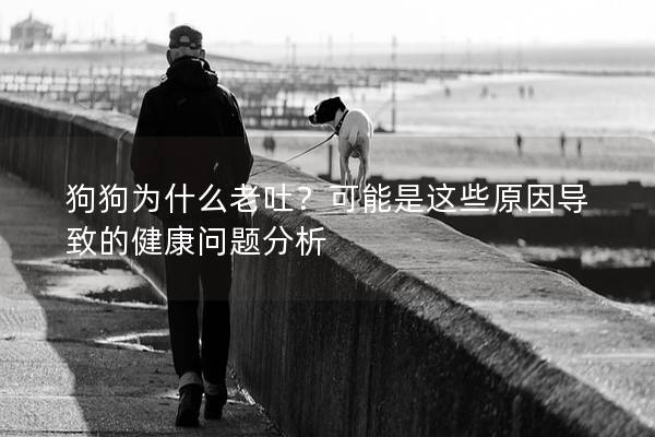 狗狗为什么老吐？可能是这些原因导致的健康问题分析