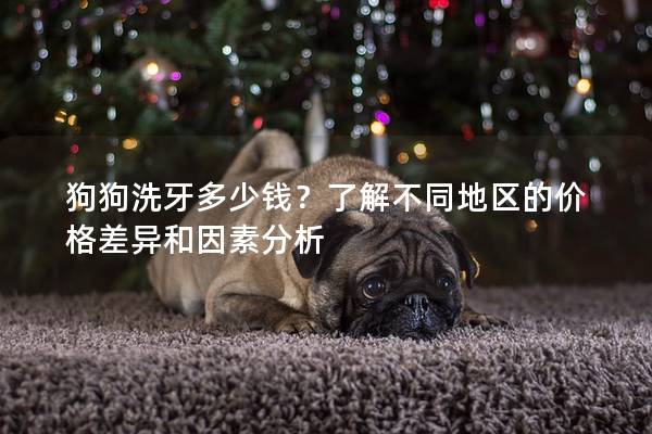 狗狗洗牙多少钱？了解不同地区的价格差异和因素分析
